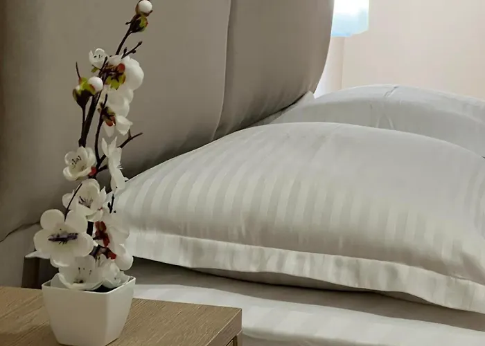 Hotel Enzo Near 4*